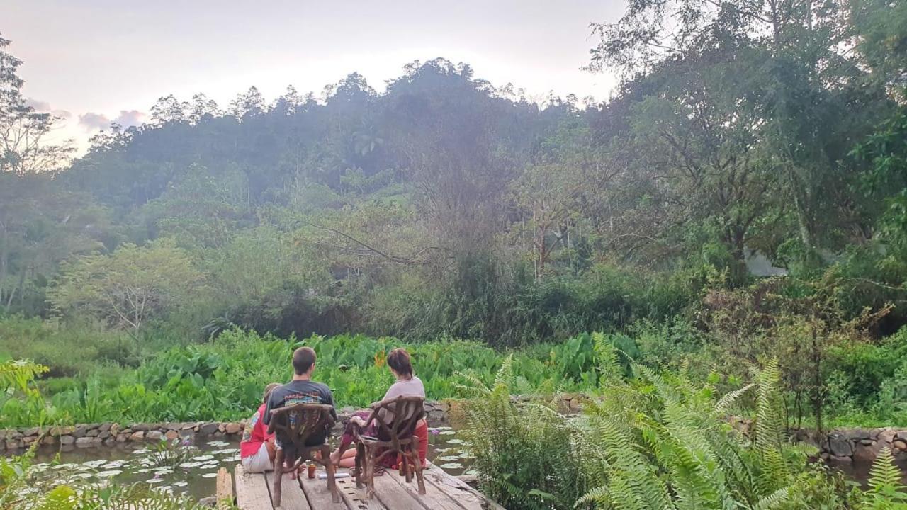 Sinharaja Forest Edge Deniyaya Exterior photo