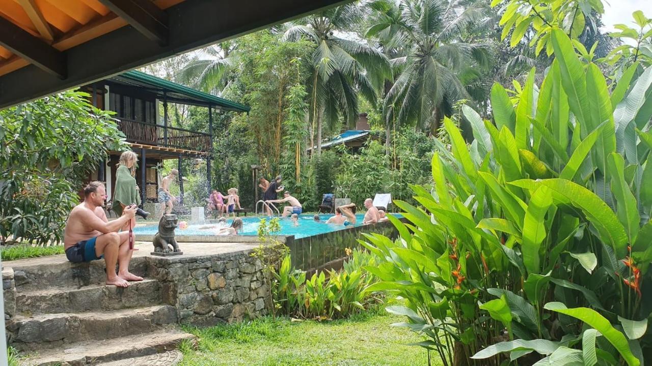 Sinharaja Forest Edge Deniyaya Exterior photo
