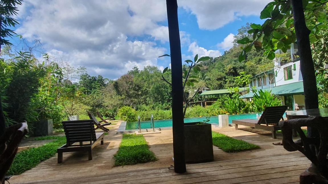 Sinharaja Forest Edge Deniyaya Exterior photo