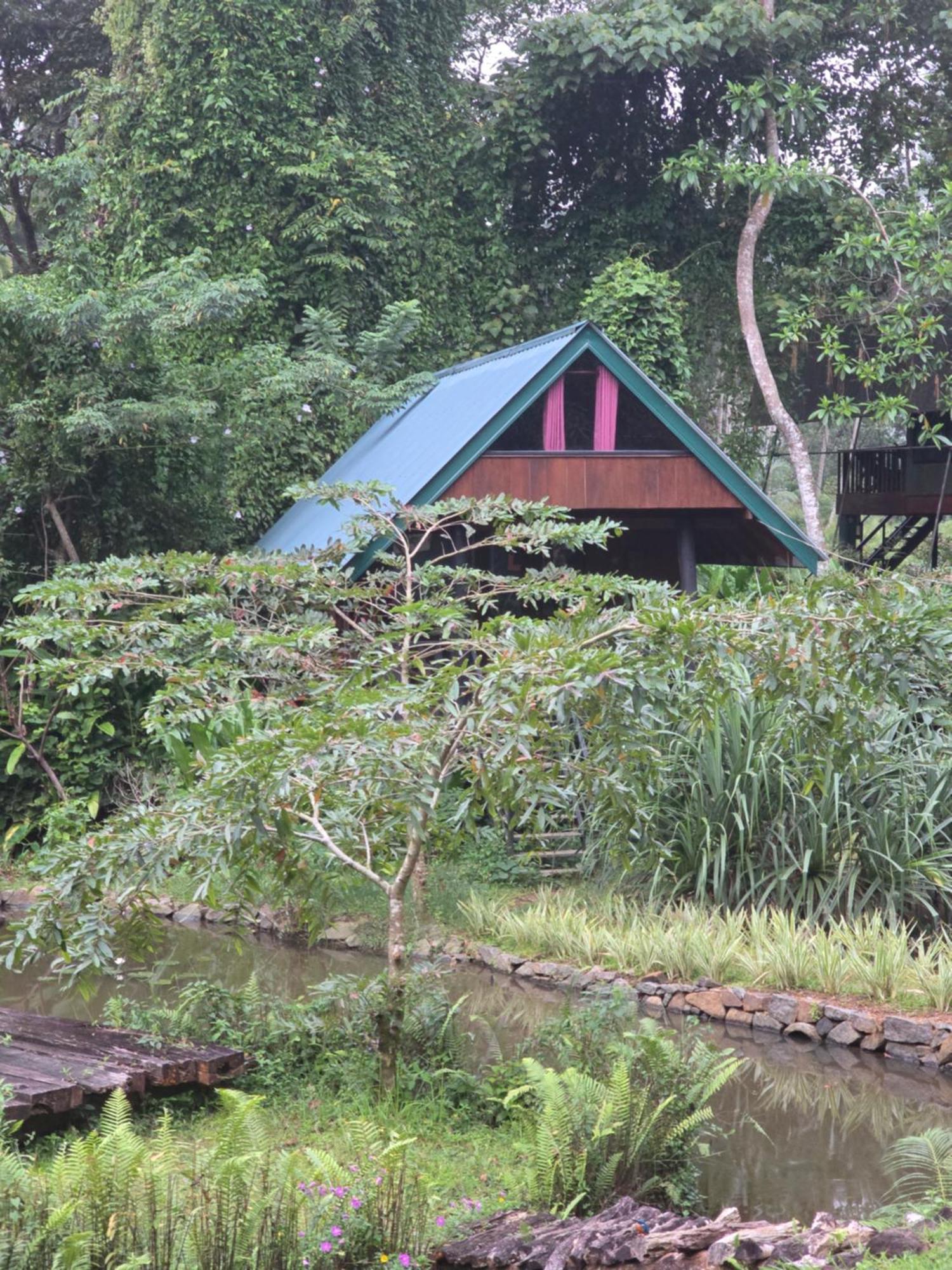 Sinharaja Forest Edge Deniyaya Exterior photo