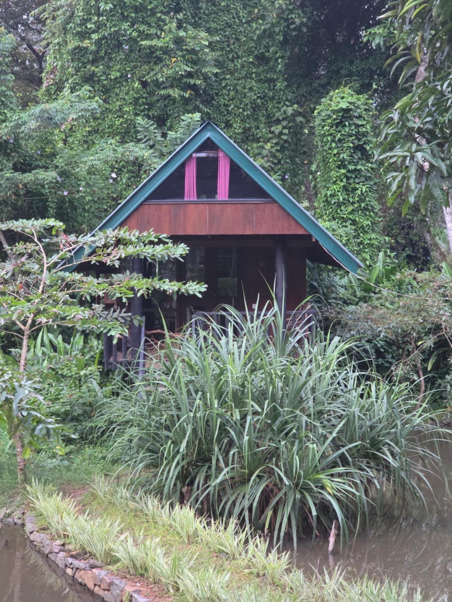 Sinharaja Forest Edge Deniyaya Exterior photo