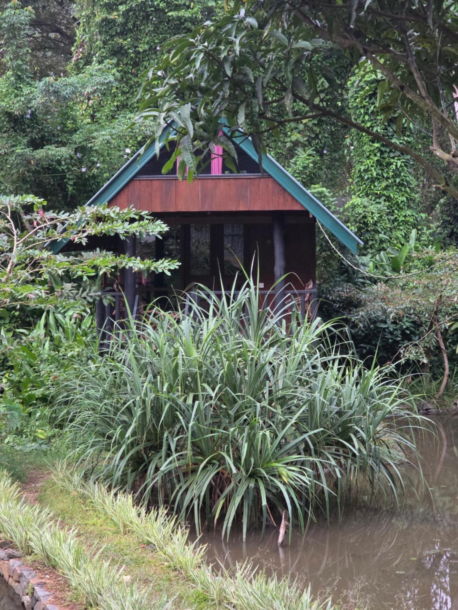 Sinharaja Forest Edge Deniyaya Exterior photo